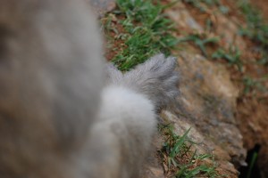 DSC_8583